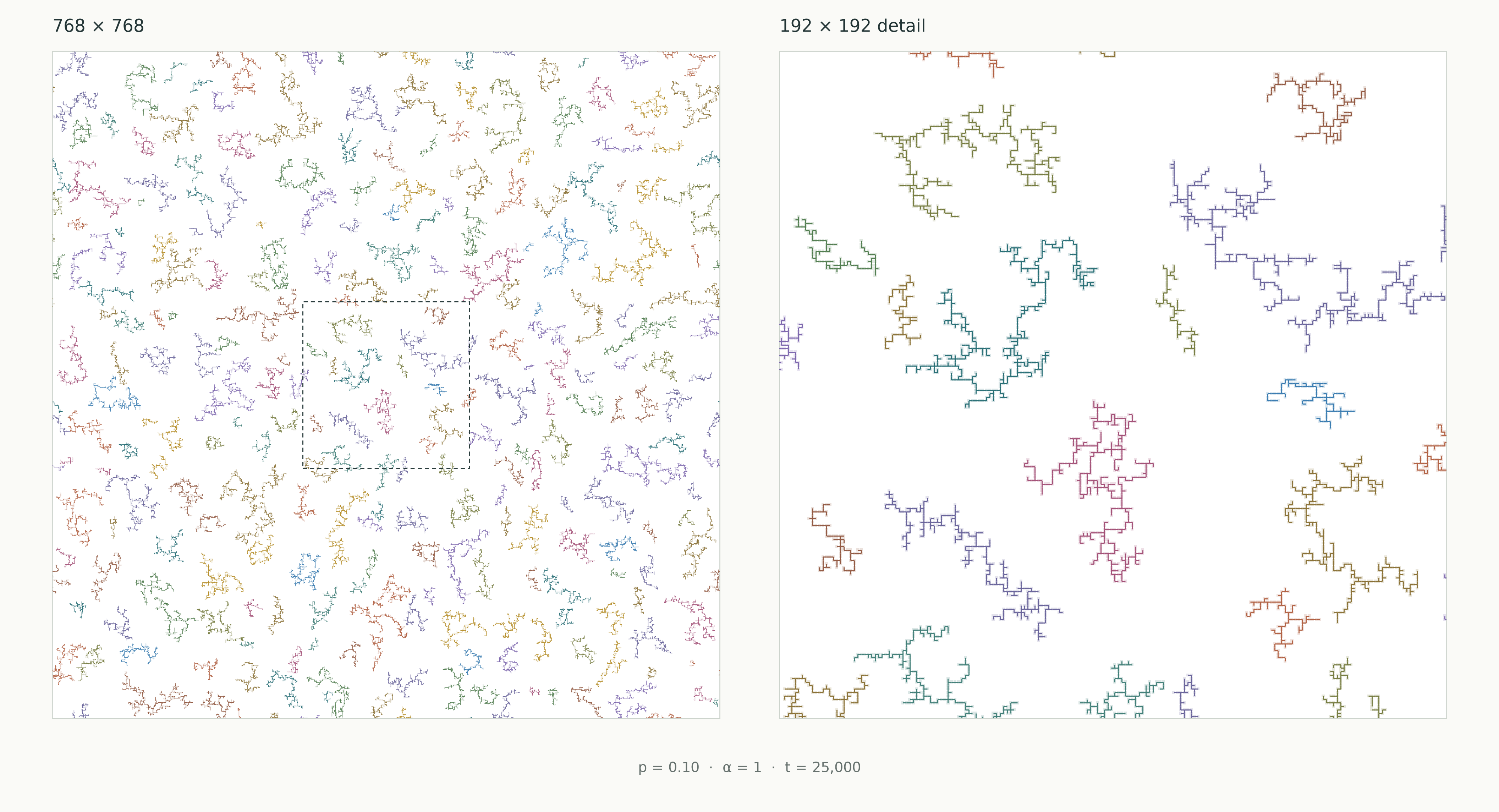 A 768 by 768 lattice of branched aggregates at 10% initial occupancy, beside an enlarged central window.